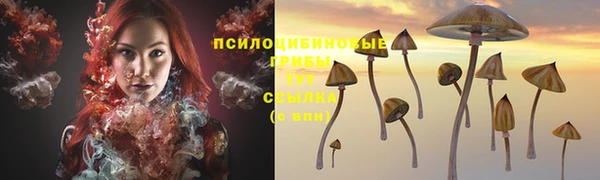 ECSTASY Алексин
