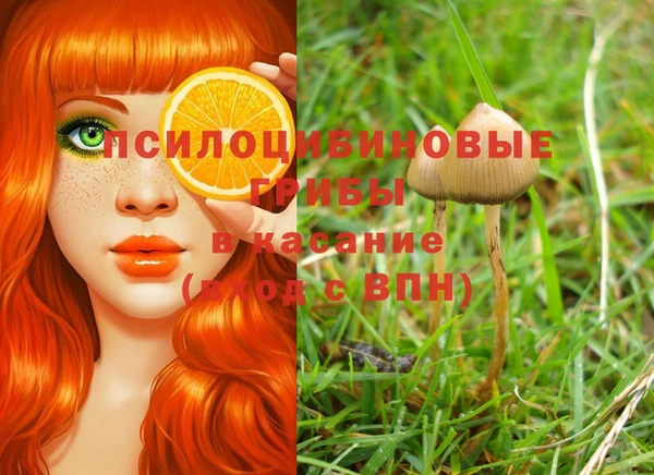 кристаллы Алексеевка