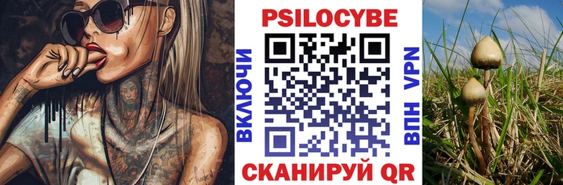 площадка Telegram  Удачный  Галлюциногенные грибы Cubensis 